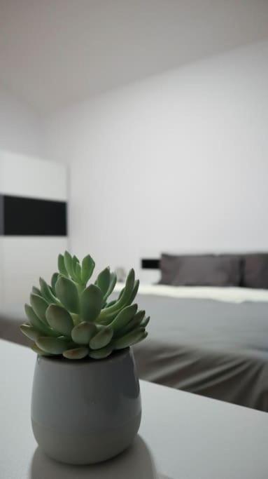 Modern Apartment In The Center Of Praha Exteriér fotografie